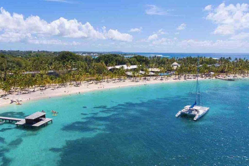 Le Sable Bleu - Evasion Tropicale A Sainte-Anne - Plage 5Min - Piscine - Parking - Logement Climatise - Vue Sur Les Palmiers - Parfait Pour Sejours En Famille Ou Entre Amis Exterior foto