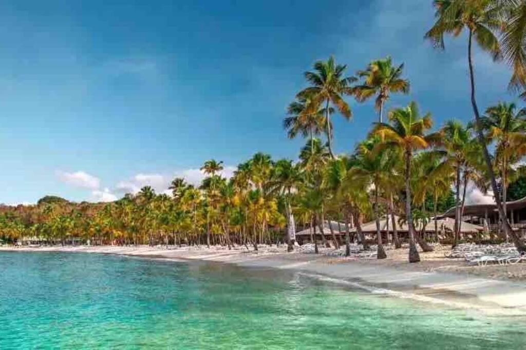 Le Sable Bleu - Evasion Tropicale A Sainte-Anne - Plage 5Min - Piscine - Parking - Logement Climatise - Vue Sur Les Palmiers - Parfait Pour Sejours En Famille Ou Entre Amis Exterior foto